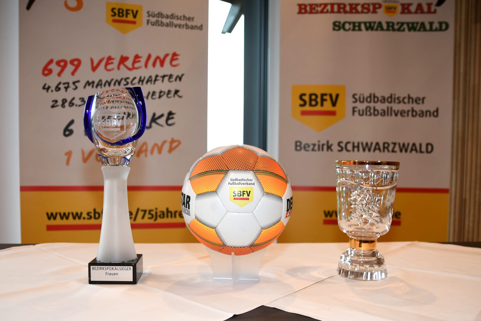 Bezirkspokalfinale 2026